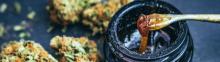 Les Cannabinoïdes : Quels sont leurs bienfaits sur nous